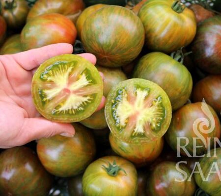 Paradeiser "Kalypso"