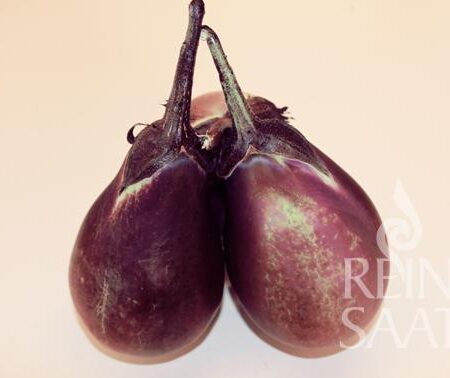 Melanzani Cesky Rany