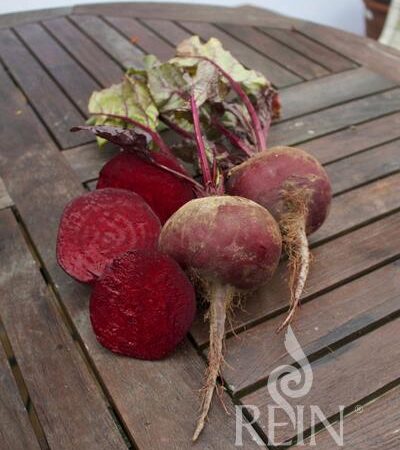 Rote Rübe Rote Kugel